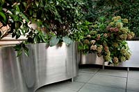 Large steel planters with hydrangea and lush green plants