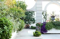 Classic style roof terrace with large planters and view through arches to town beyond 