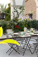 Table and chairs on terrace planted with plumeria rubra, cistus, convolvolus creorum, roses, abelia,roses,trachelospermum, buxus, agave americana, bouganvillea glabra, cyclamen.