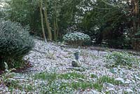 Electra bust collected by Charles de Salis, covered in snow in woodland garden. 