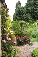 Rose 'Gertrude Jekyll' pink climbing rose on stone house in cottage garden