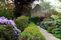 Rhododendrons and Viburnums in borders flanking path to house
