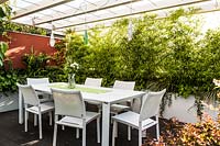 A dining area with white table and chairs, under a pergola with suspended lights, a trough of Phyllostachys nigra 'Epimedium' provides a screen