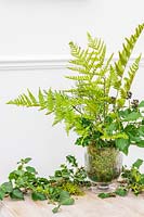 Table decoration, glass vase filled with foliage including Hedera - Ivy, Fern and Moss