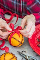 Oranges studded with cloves being decorated with red ribbon