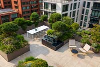 Overview of city roof garden showing troughs of evergreen shrubs screening seating areas from tall buildings
