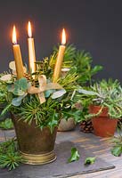 Christmas arrangement with three gold candles, Eucalyptus, Ilex  and   Pinus foliage in brass bucket.