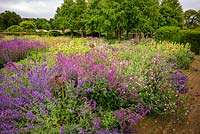 The Perennial Meadow and Katsura Grove at Scampston Hall Walled Garden, North Yorkshire, UK. 