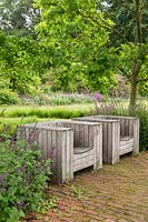 Wooden seats on brick paving under Phellodendron chinense trees, shading the seating area in the Drifts of Grasses Garden at Scampston Hall Walled Garden, North Yorkshire, UK.
