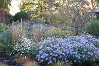 Autumn planting of grasses, Verbena, Gaura and Asters.  Radcot House, Oxfordshire, UK