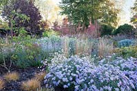 Autumn planting of grasses, Verbena, Boltonia, Gaura and Asters. Radcot House, Oxfordshire, UK
