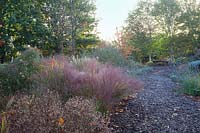 Informal path through autumn planting Radcot House, Oxfordhsire, UK