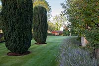 Shaped Yew barrels with Lavender lined formal lawn. Radcot House, Oxfordshire, UK