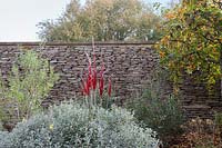 Decorative contemporary glass sculpture in autumn walled garden. Radcot House, Oxfordshire, UK