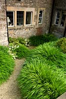Ferns, hostas and grasses in shaded area next to stone cottage.
