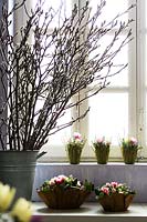 Magnolia and flower decorations by window. 