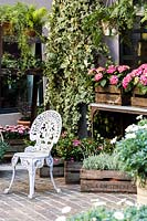Outdoor display with crates of flowering Hydrangea, lavender and ivy. 