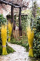 Bundles of Cornus sericea 'Flaviramea' - Dogwood - stems decorate a path