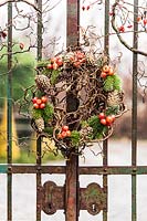 Wreath made of Corylus avellana 'Contorta' stems, small apples, fir branches and pine cones, hanging on metal gate