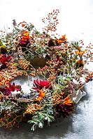 Wreath with autumnal flowers and foliage of Dahlias, Rudbeckia, Crocosmia, Rose hips, Sedum and Mimosa baileyana