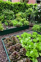 The kitchen garden, with raised beds of vegetables.