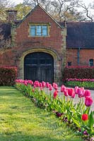 Narrow beds either side of historic gateway, with Tulipa - Tulip - underplanting 