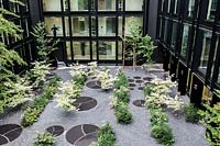 Courtyard garden in building with Cornus controversa 'Variegata', Gingko biloba, Magnolia grandiflora, Myerus communis, Hydrangea paniculata, Begonia and Anemone