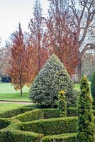 Topiary of Ilex aquifolium 'Handsworth New Silver with Fagus sylvatica 'Dawyck Gold'
