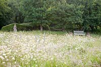View across wildflower meadow of Leucanthemum vulgare - Oxeye Daisy and Echium vulgare to stone statue, bench, hammock and clipped hedge 