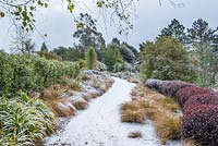 Path covered in snow surrounded by borders of Carex flagellifera - Glen Murray Tussock Sedge, Pittosporum tenuifolium 'Tom Thumb', Cordyline australis, Astelia nervosa 'Westland', Astelia chathamica 