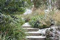 Path and timber steps covered in snow surrounded by Corokia x virgata 'Sunsplash' and Libertia chilensis