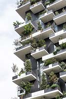 Looking up at residential tower block balconies planted with trees, shrubs and perennials.