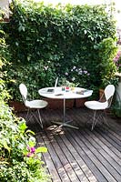 Table and chairs set against backdrop of potted plants in small terrace garden.