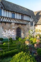 View over Buxus - Box - parterre with mop head topiary and small Prunus - Cherry - trees in blossom to half-timbered house 