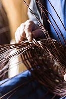 Experienced basket maker building a hand-woven basket.
