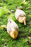 Ornamental wooden ducks on lawn in garden	
