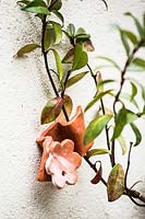 Ceramic plant support attached to a wall