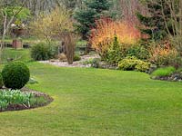 View across lawn to mixed beds with conifers and the firey red stems of Cornus sanguinea - Dogwood