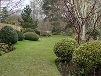 Globe and dome topiary bushes draws the eye along lawn and through the garden