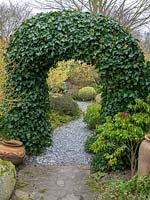 A Hedera - Ivy - arch over a path 