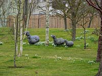 Galanthus - Snowdrop - on a wooded lawn with sheep statues