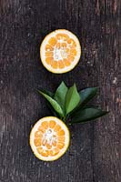 Citrus aurantium 'Bouquetier de Nice' - Bitter Orange - single fruit cut open to show insides