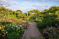 View along paved then grass path with rose beds on either side, pergola in distance 