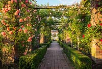 Rose pergola, view along paved path edged with low hedging 