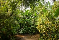 The Rainforest Biome, amongst the beds of foliage 
