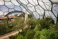 The Mediterranean Biome, overview showing plants and structure of the roof