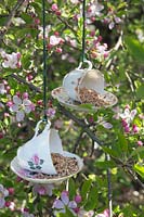 Bird feeders made from china tea cups and saucers hanging in tree surrounded by blossom