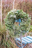 White-themed winter wreath hung on the back of chair,  made with cut flowers and foliage including Chrysanthemum and Gypsophila. 