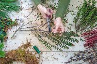 Woman using secateurs to trim Hebe