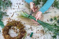Woman using secateurs to trim Xerophyllum tenax - Bear Grass. 